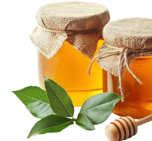 Organic Honey